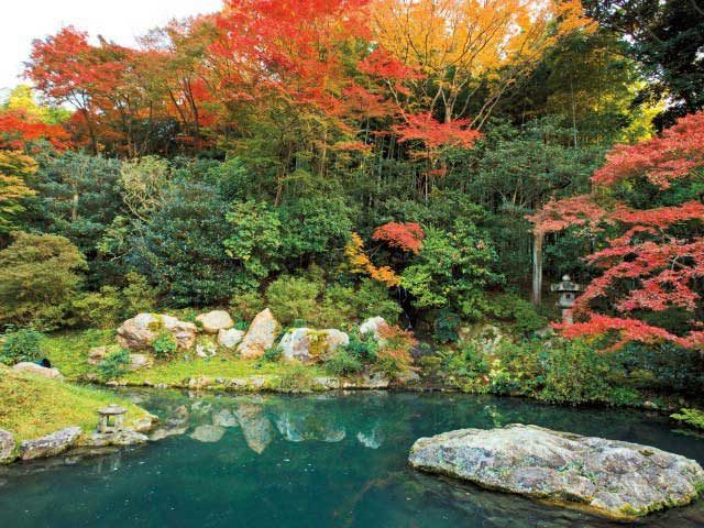 【祇園周辺の神社と寺】青蓮院門跡