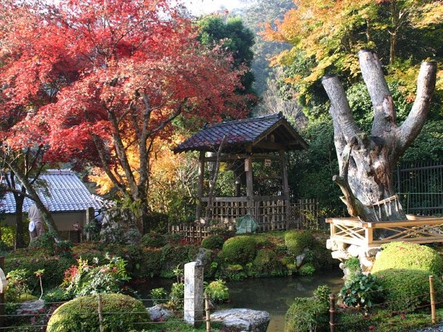 大原観光名所④寂光院