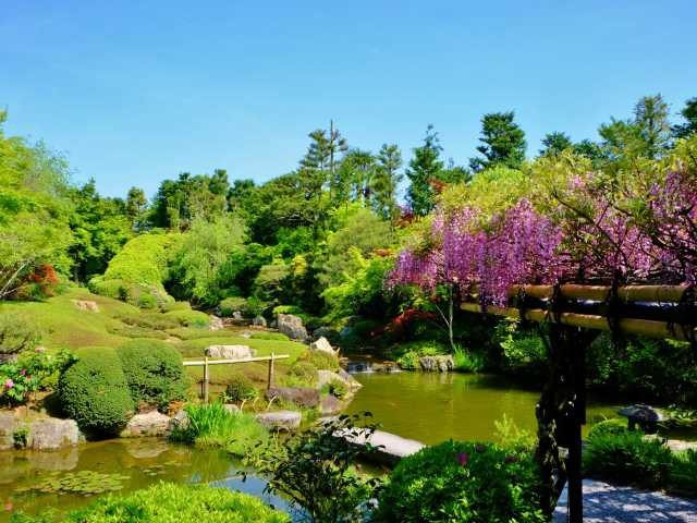 【金閣寺周辺×観光】四季折々の花が彩る美しい余香苑「退蔵院」