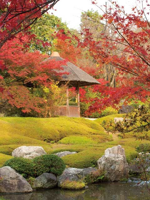 【金閣寺周辺×観光】四季折々の花が彩る美しい余香苑「退蔵院」