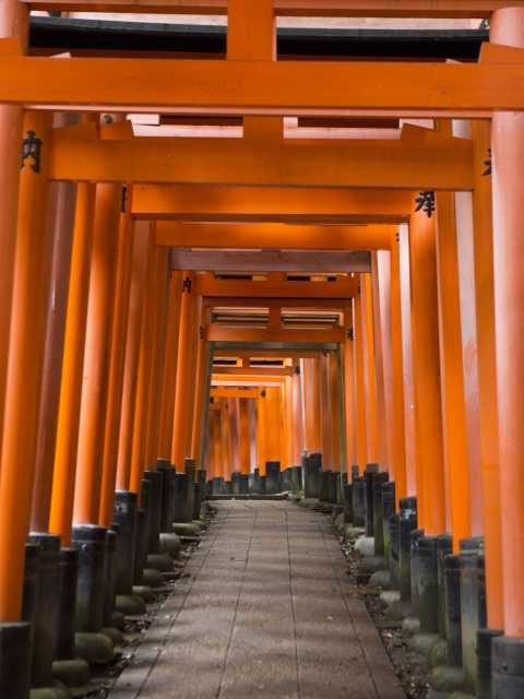 伏見稲荷大社の見どころ③千本鳥居