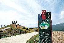 【飛騨高山のSA・PA×高原グルメ】ひるがの高原牛乳を使ったグルメ「ひるがの高原サービスエリア(下り)」