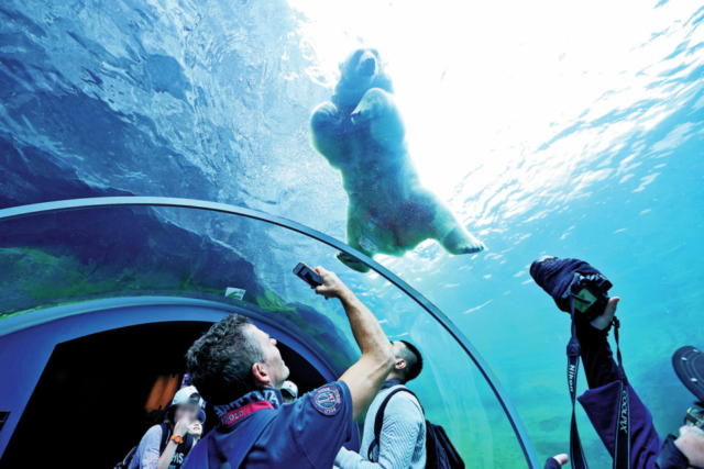 ホッキョクグマ館