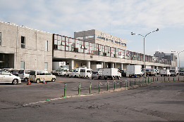 【函館×函館漁港イカセリ】函館市水産物地方卸売市場