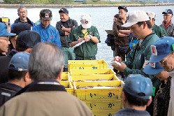 【函館×函館漁港イカセリ】函館市水産物地方卸売市場