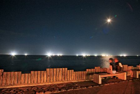 函館イカ漁の歴史
