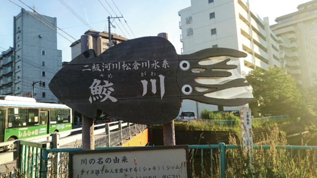 【函館×イカ】街で見つけたイカデザイン