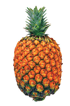 【沖縄旅行×おすすめスポット8】15:30 「道の駅 許田」でおみやげ探し