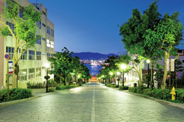 【函館・ライトアップスポットF】並木と摩周丸の美しいきらめき「八幡坂」