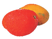 【沖縄旅行×7月~10月】旬のフルーツ