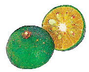 【沖縄旅行×11月~2月】旬のフルーツ