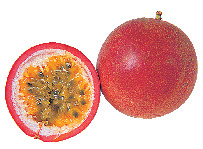 【沖縄旅行×3月~6月】旬のフルーツ