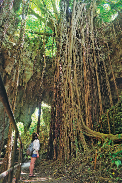 【沖縄旅行×大人旅プラン】16:00 ガンガラーの谷