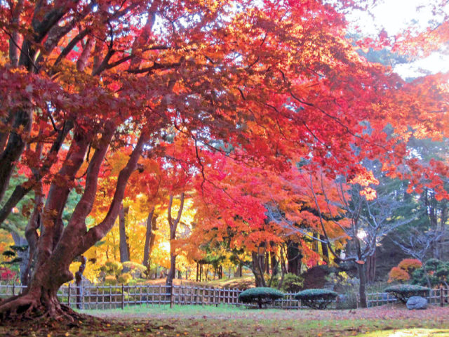 【湯の川周辺×観光】北海道唯一の国指定文化財庭園がある「見晴公園」