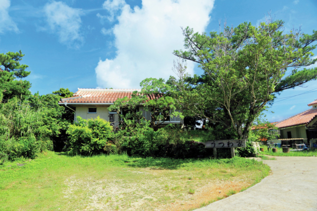壺屋焼を継ぐ味わいのある器「ギャラリーうつわ家」