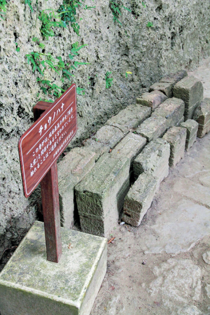 【斎場御嶽】チョウノハナ