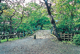 【谷地頭周辺の観光スポット】白川橋
