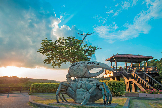 東村ふれあいヒルギ公園