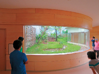 ヤンバルクイナ生態展示学習施設 クイナの森