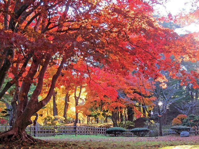 【函館・道南観光×おすすめ時期】イベント期間なら観光がさらに充実