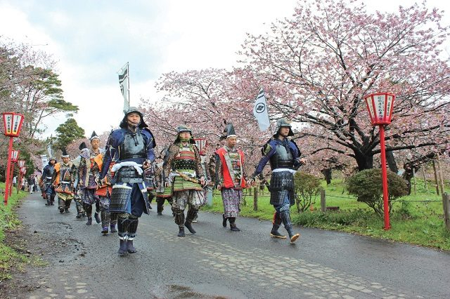 【函館・道南観光×春のイベント】松前さくらまつり
