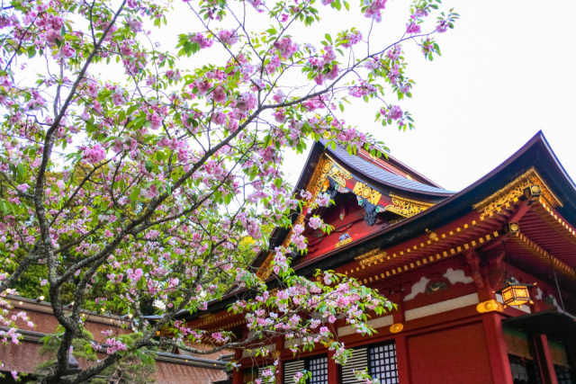 【塩竈でおすすめの観光スポット】鹽竈神社