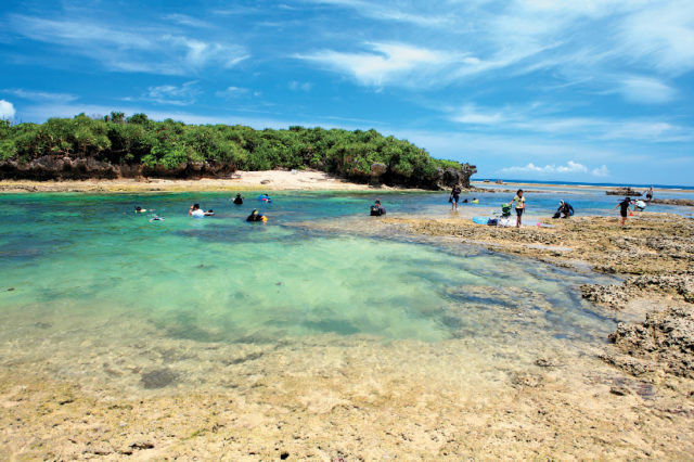 【備瀬のフクギ並木×観光】備瀬崎