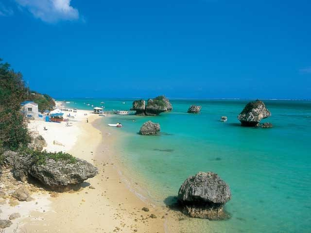 【沖縄・本島&慶良間諸島×人気ビーチ】浅瀬の天然ビーチでサンゴ礁ウォッチング「新原ビーチ」