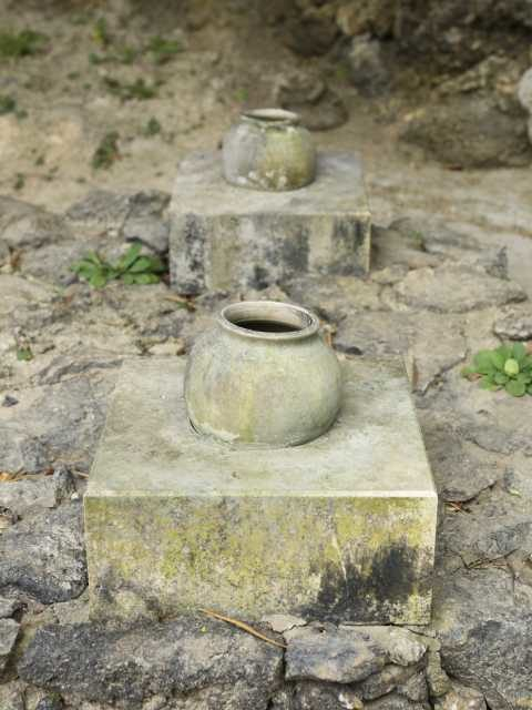 みどころ⑤ シキヨダユルアマガヌビー・アマダユルアシカヌビー