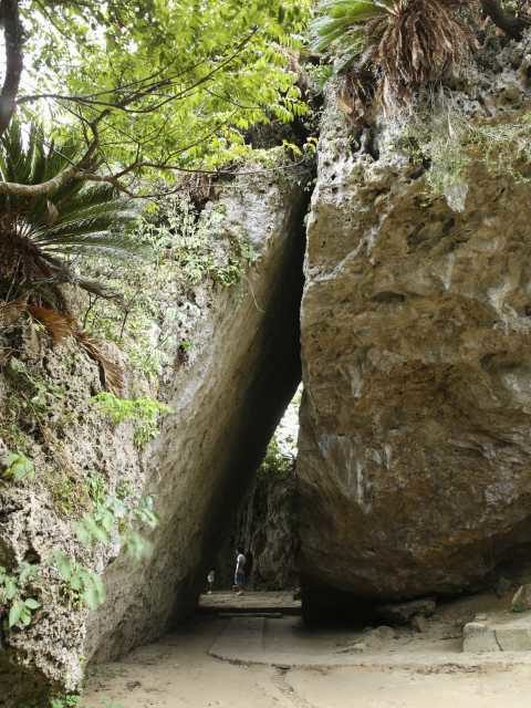 みどころ③さんぐーい 三庫理