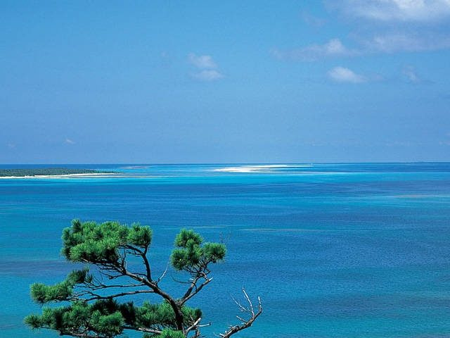 【久米島観光おすすめスポット】ハテの浜