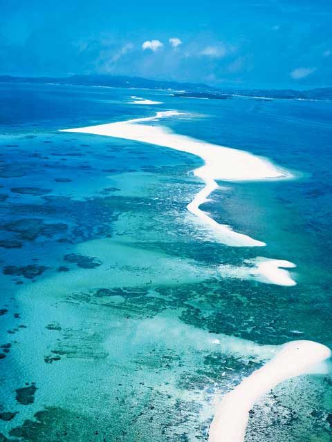 慶良間諸島・久米島エリア