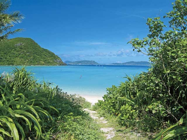 【沖縄・本島&慶良間諸島×アイランドビーチ】ウミガメが暮らす波穏やかな天然ビーチ「トカシクビーチ」