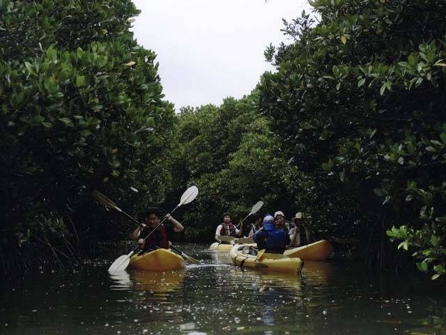【沖縄でやりたいこと×豊かな自然と触れ合う】やんばるの自然を体感「やんばる自然塾(やんばる)」