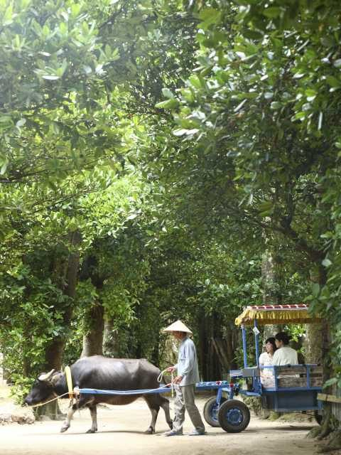 こんなめぐり方もある♪