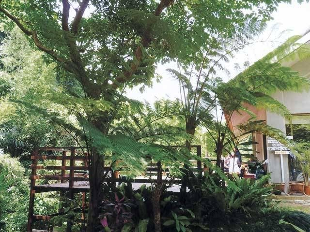 Cafe ichara 【沖縄美ら海水族館周辺(北部)】