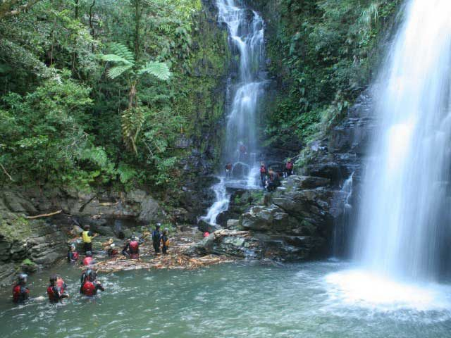 やんばるエリア
