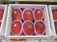 沖縄の人気道の駅ランキング4位 道の駅 豊崎