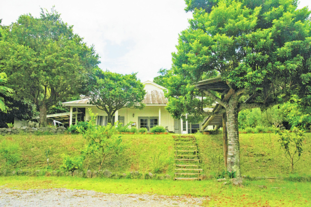 森の食堂 smile spoon