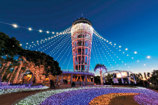 【江の島×イベント】湘南の宝石~江の島を彩る光と色の祭典~