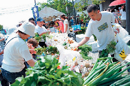 【鎌倉・長谷&由比ヶ浜×イベント】鎌倉の朝市