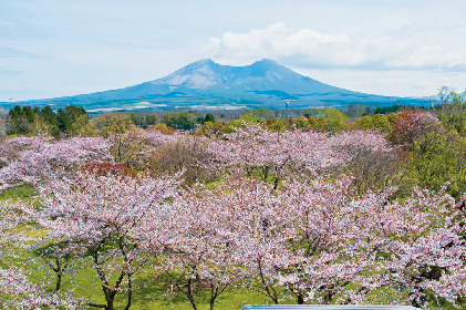 【函館・道南×道の駅】駒ヶ岳を一望「YOU・遊・もり」