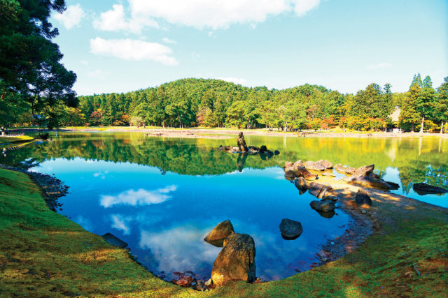 必見 仏の世界を表した【浄土庭園】