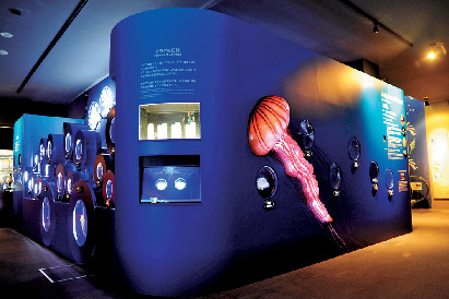 神秘的なクラゲに癒されたい