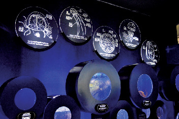 神秘的なクラゲに癒されたい