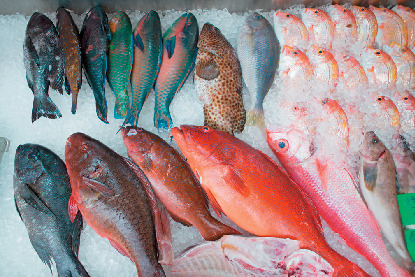 【那覇・国際通り×せんべろ】魚友