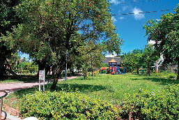 ニューパラダイス通り