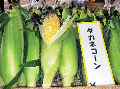 【飛騨高山の道の駅×はなもも】高根町の特産品が充実「飛騨たかね工房」