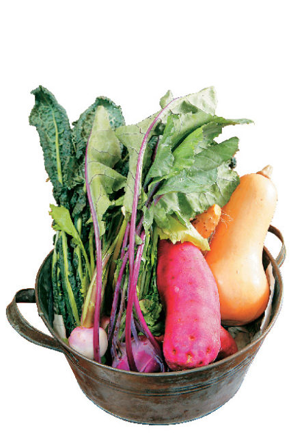 品種の多さが自慢鎌倉野菜とは?