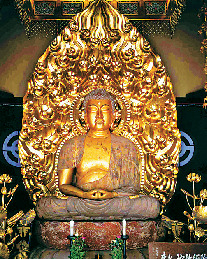 【由比ヶ浜・長谷×必見スポット】長谷寺に参拝